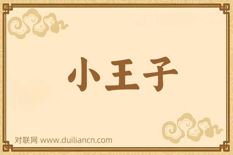 小王子词语的意思
