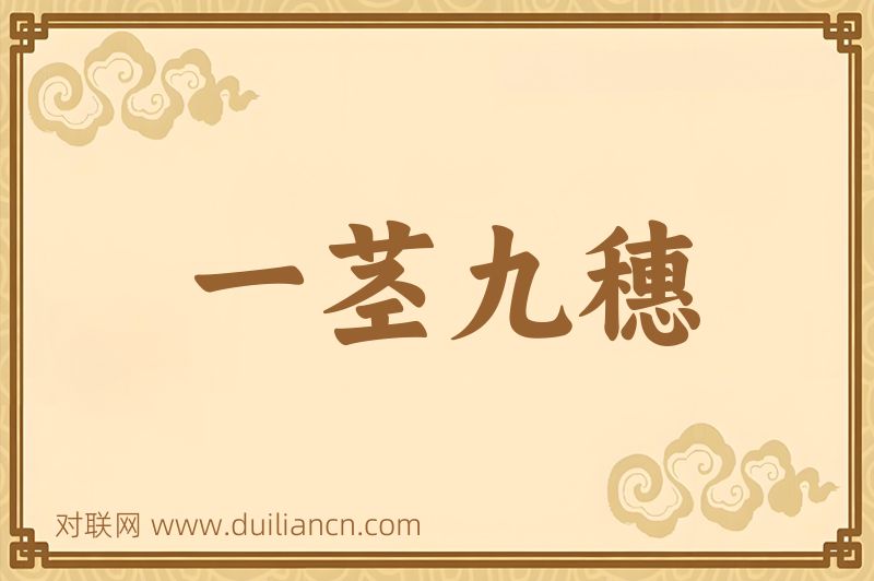 一茎九穗词语的意思