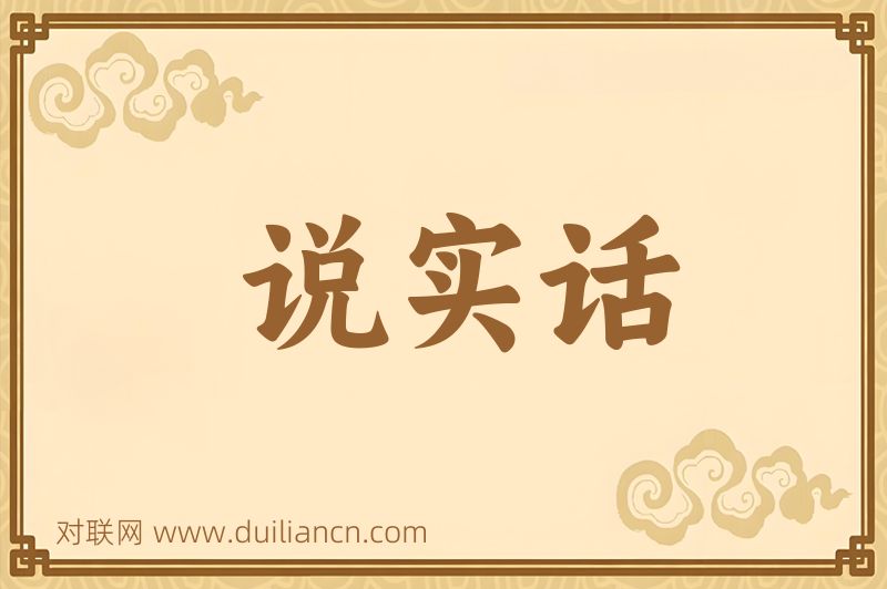 说实话词语的意思