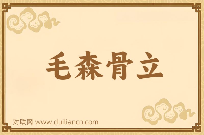 毛森骨立词语的意思