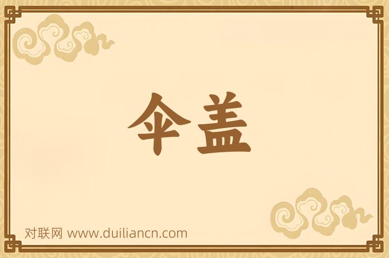 伞盖词语的意思