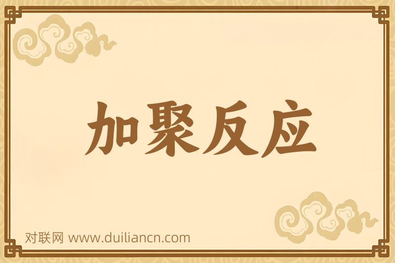 加聚反应词语的意思