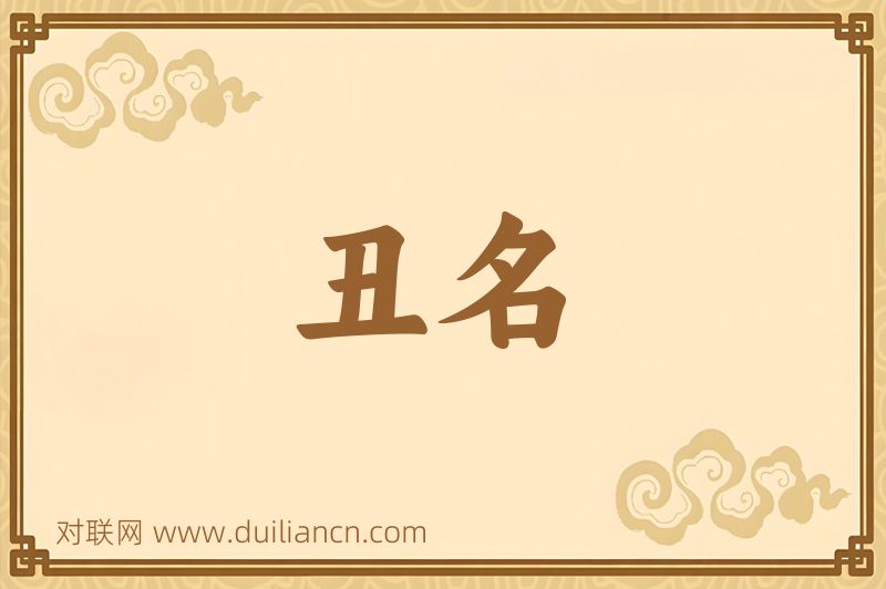 丑名词语的意思