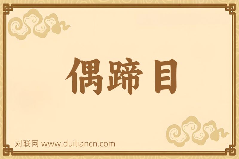 偶蹄目词语的意思