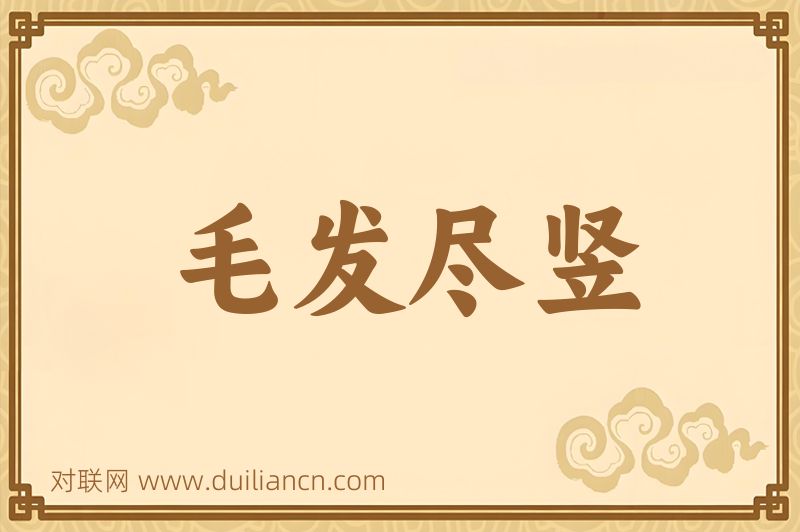 毛发尽竖词语的意思