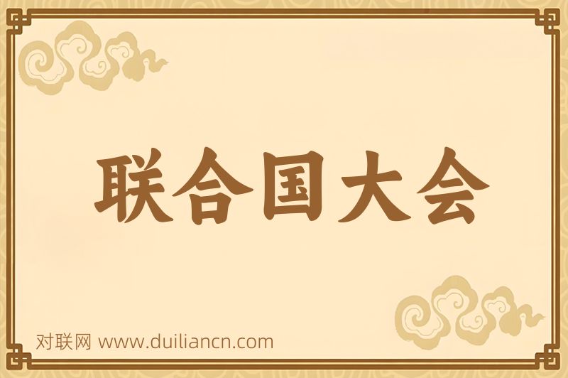 联合国大会词语的意思