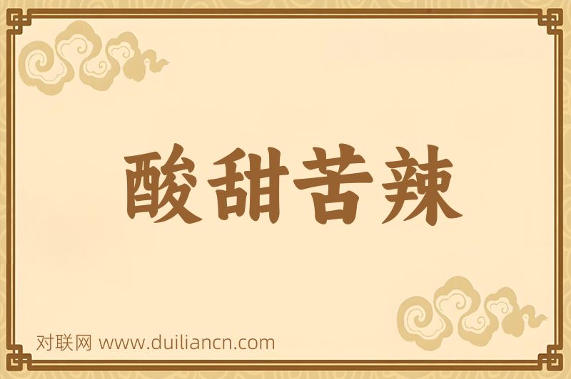 酸甜苦辣词语的意思