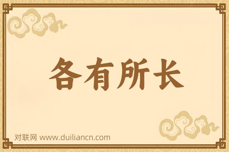 各有所长词语的意思