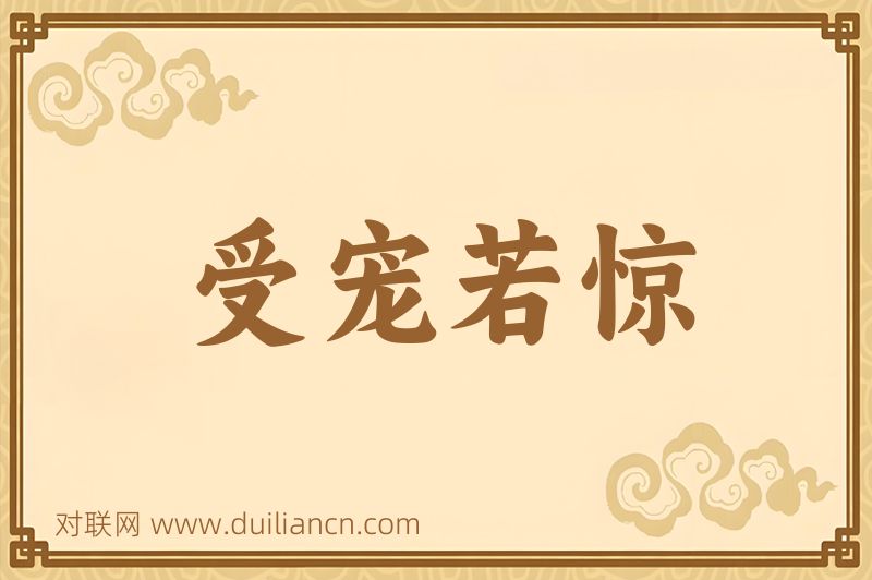受宠若惊词语的意思