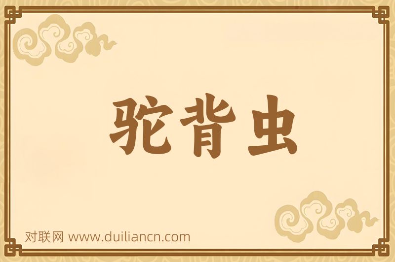 驼背虫词语的意思