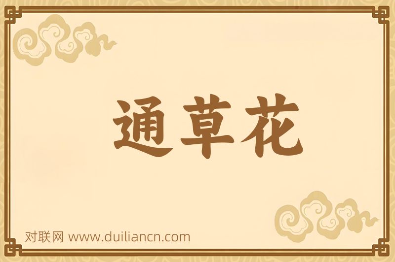 通草花词语的意思