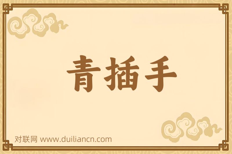 青插手词语的意思