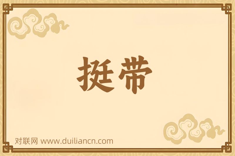 挺带词语的意思