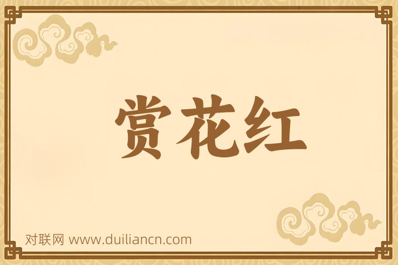 赏花红词语的意思