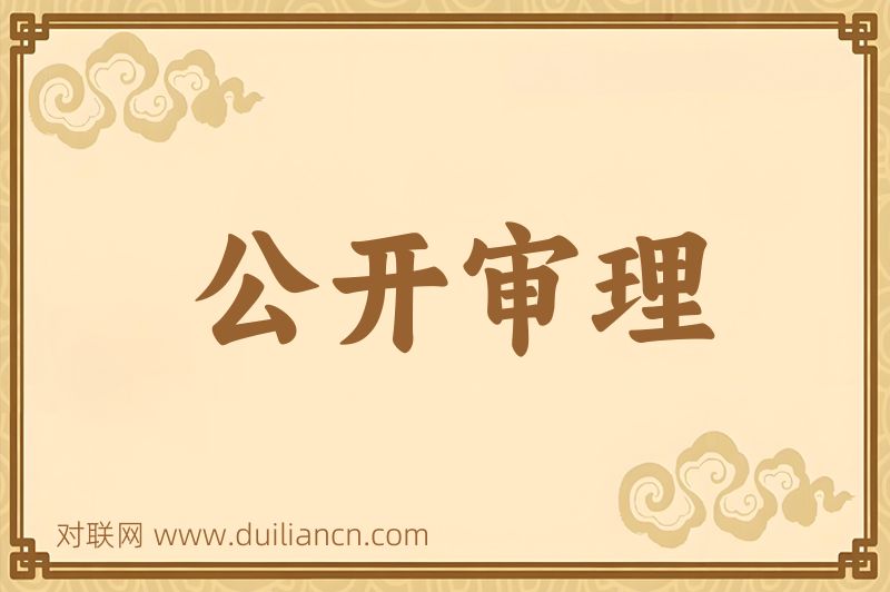 公开审理词语的意思