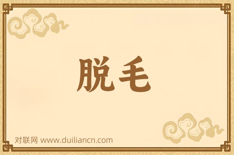 脱毛词语的意思