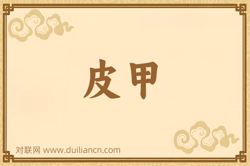 皮甲词语的意思