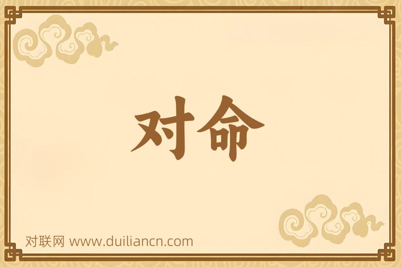 对命词语的意思