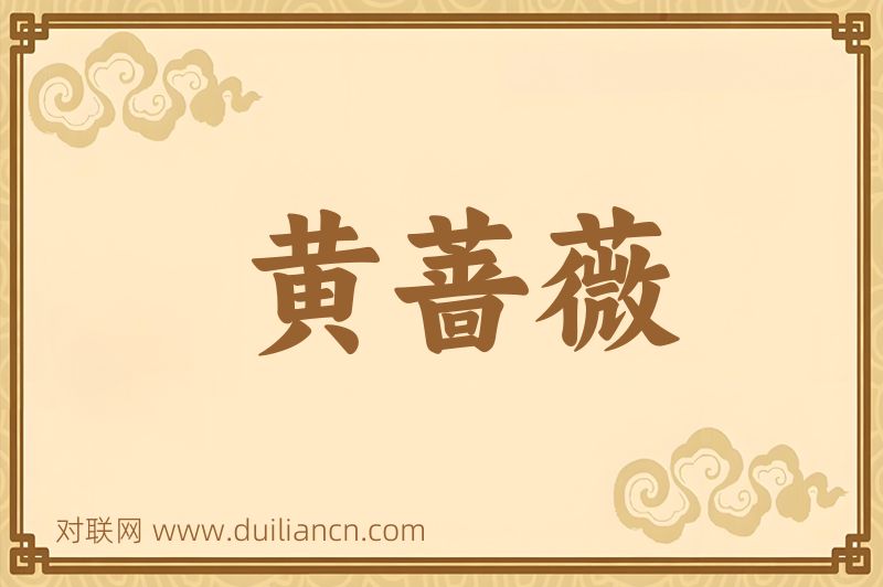 黄蔷薇词语的意思
