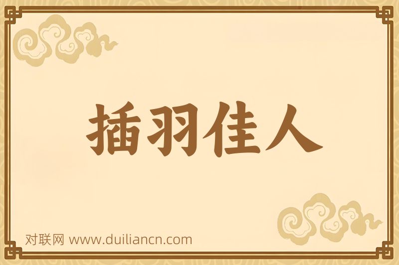 插羽佳人词语的意思