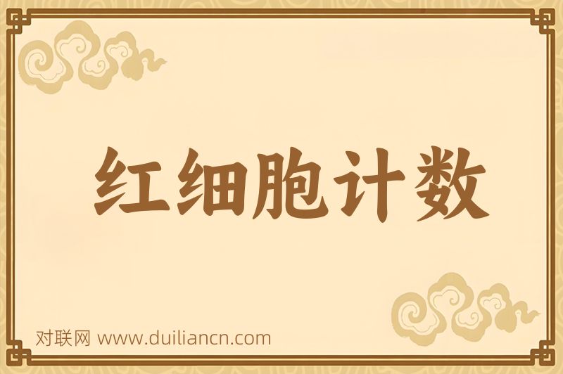红细胞计数词语的意思