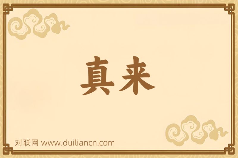 真来词语的意思