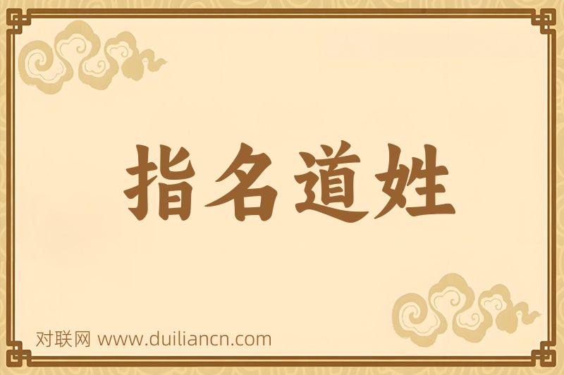 指名道姓词语的意思