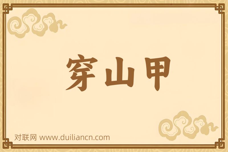 穿山甲词语的意思