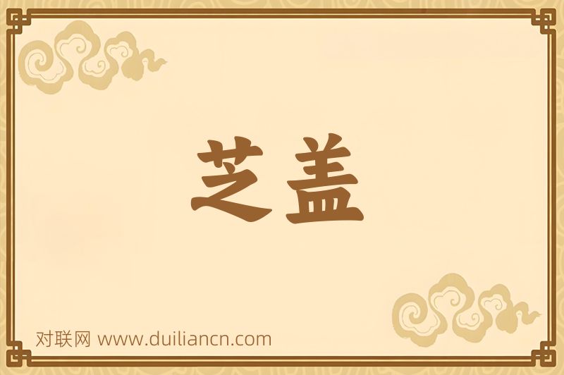 芝盖词语的意思