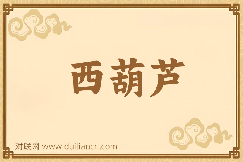 西葫芦词语的意思