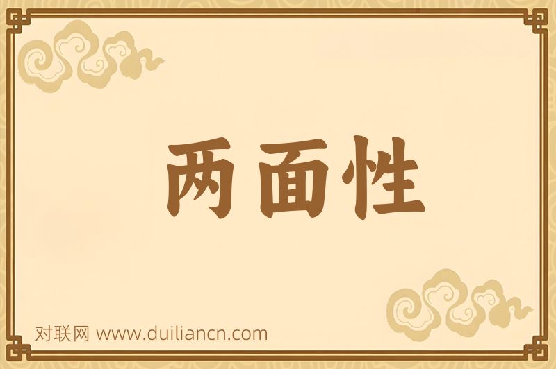 两面性词语的意思