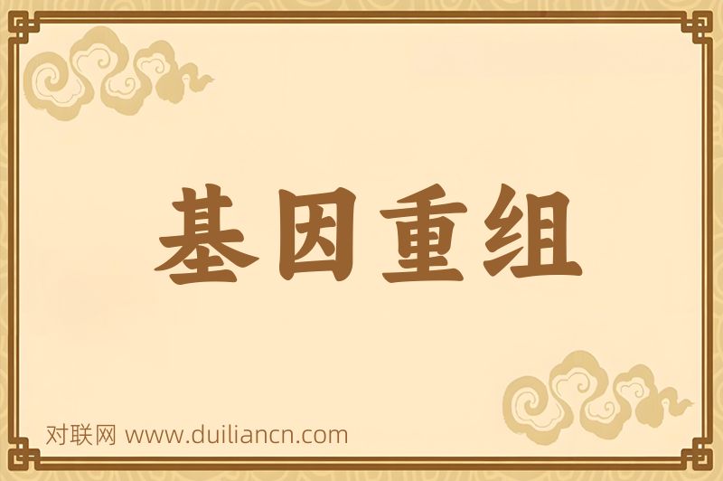 基因重组词语的意思