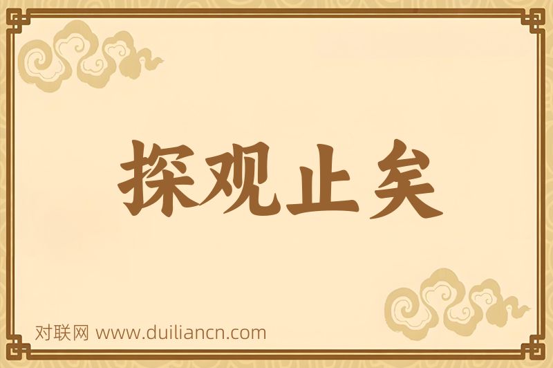 探观止矣词语的意思
