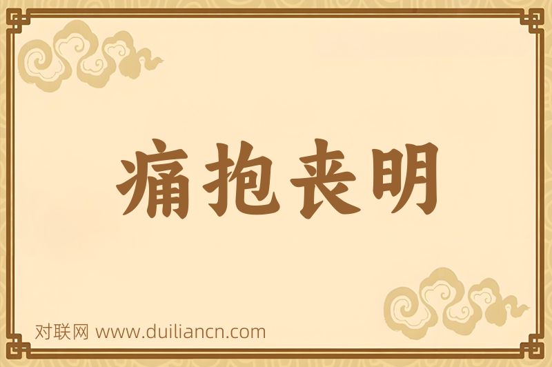 痛抱丧明词语的意思