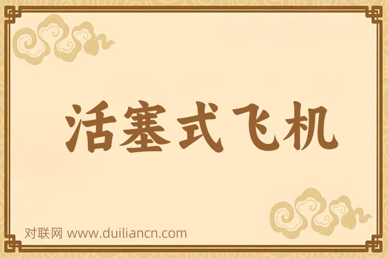 活塞式飞机词语的意思