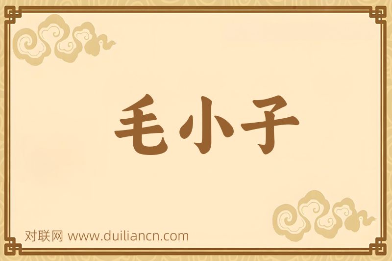 毛小子词语的意思