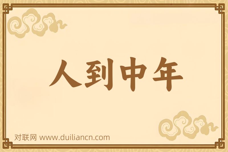人到中年词语的意思
