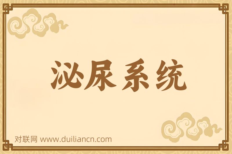 泌尿系统词语的意思