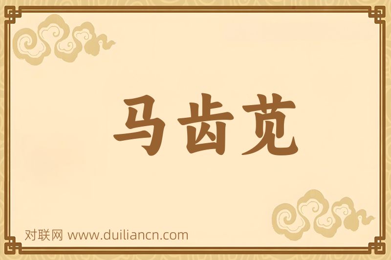 马齿苋词语的意思