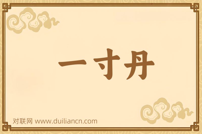 一寸丹词语的意思