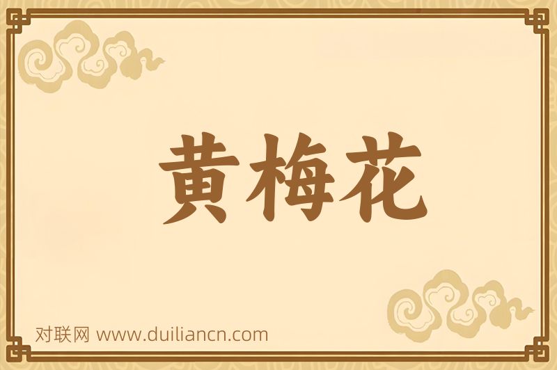 黄梅花词语的意思