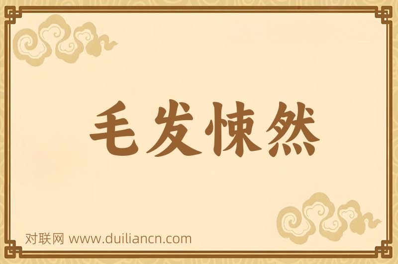 毛发悚然词语的意思