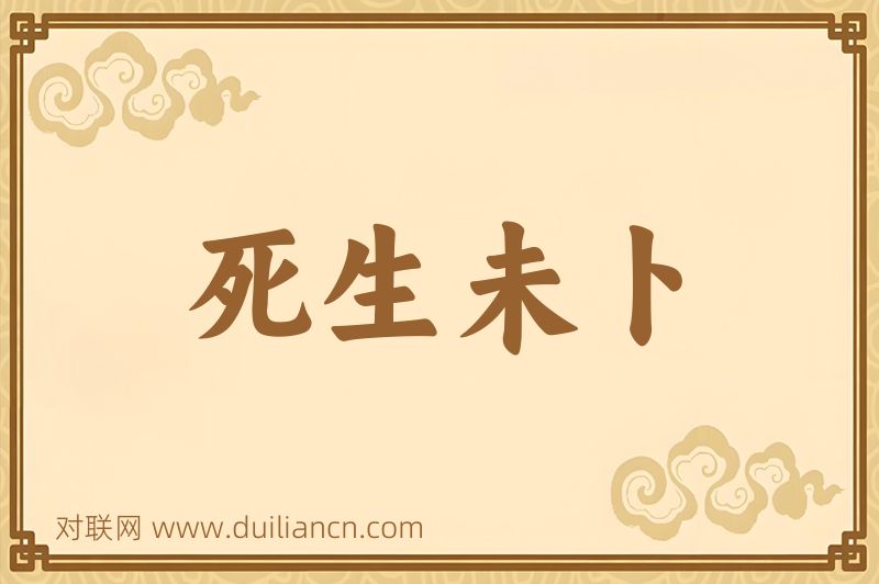 死生未卜词语的意思