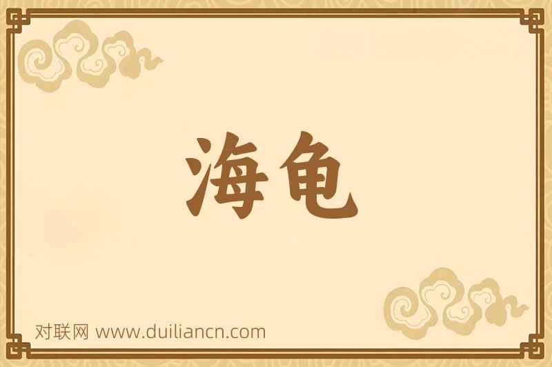 海龟词语的意思