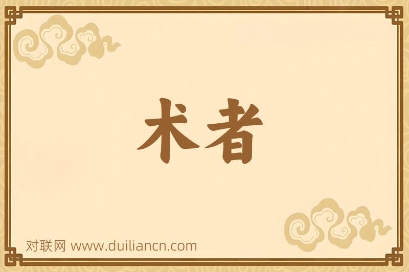 术者词语的意思