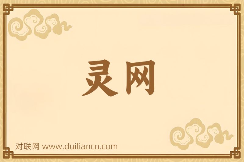 灵网词语的意思
