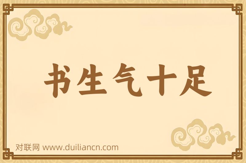 书生气十足词语的意思