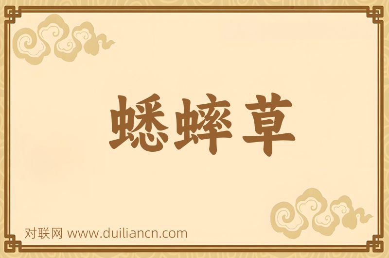 蟋蟀草词语的意思