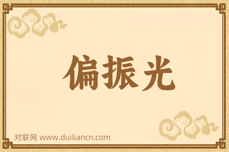 偏振光词语的意思