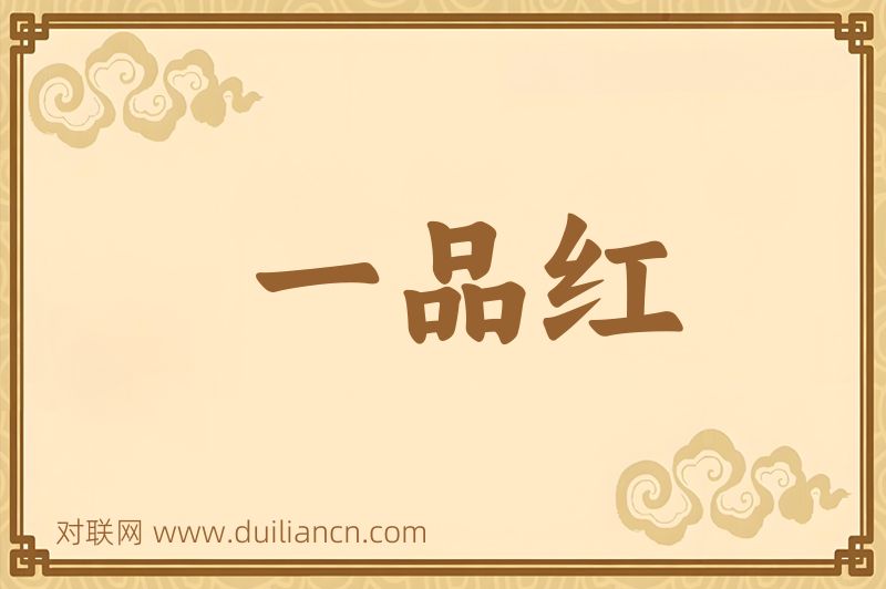 一品红词语的意思